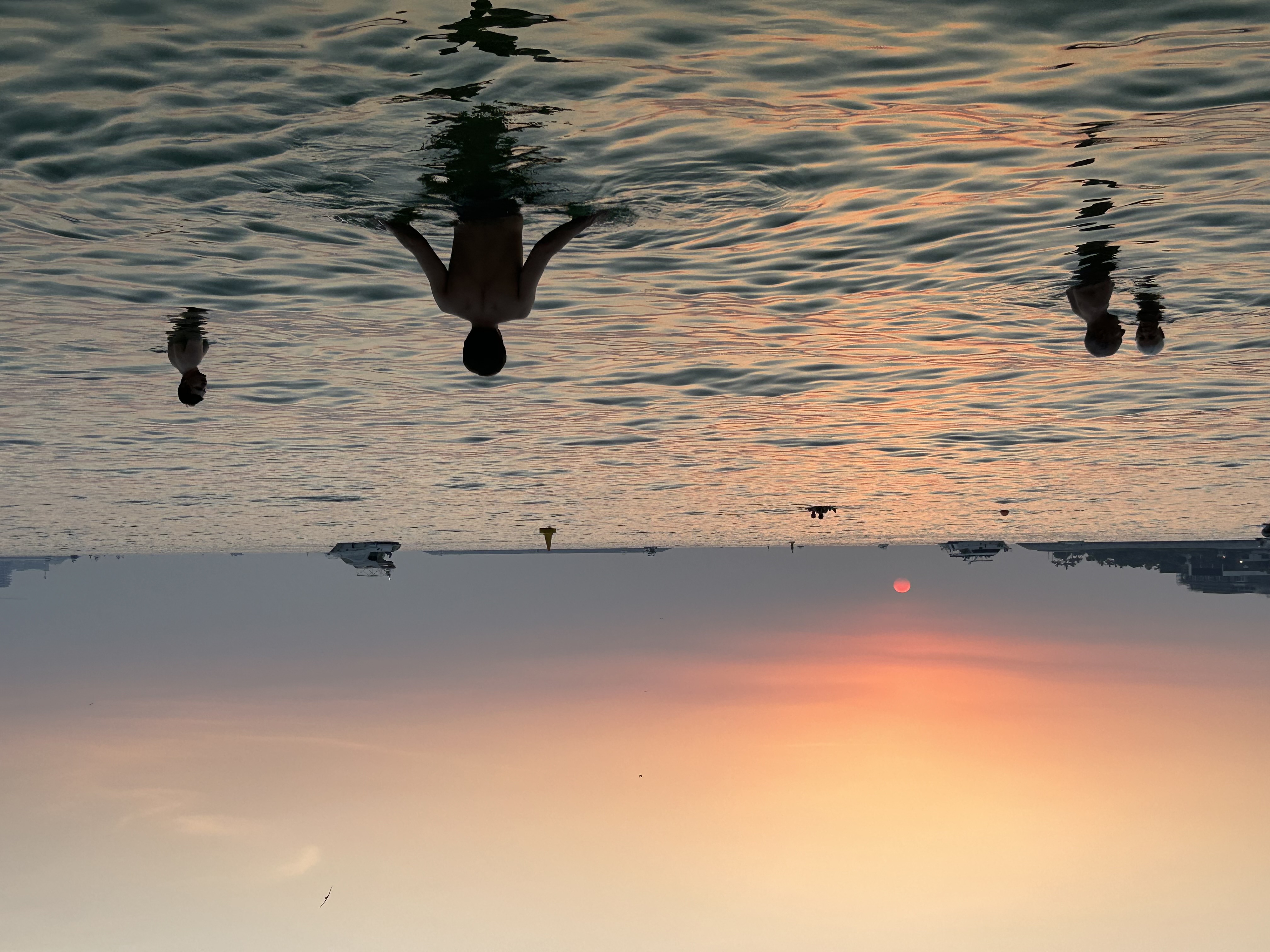Swimmers watching the sunset over the water