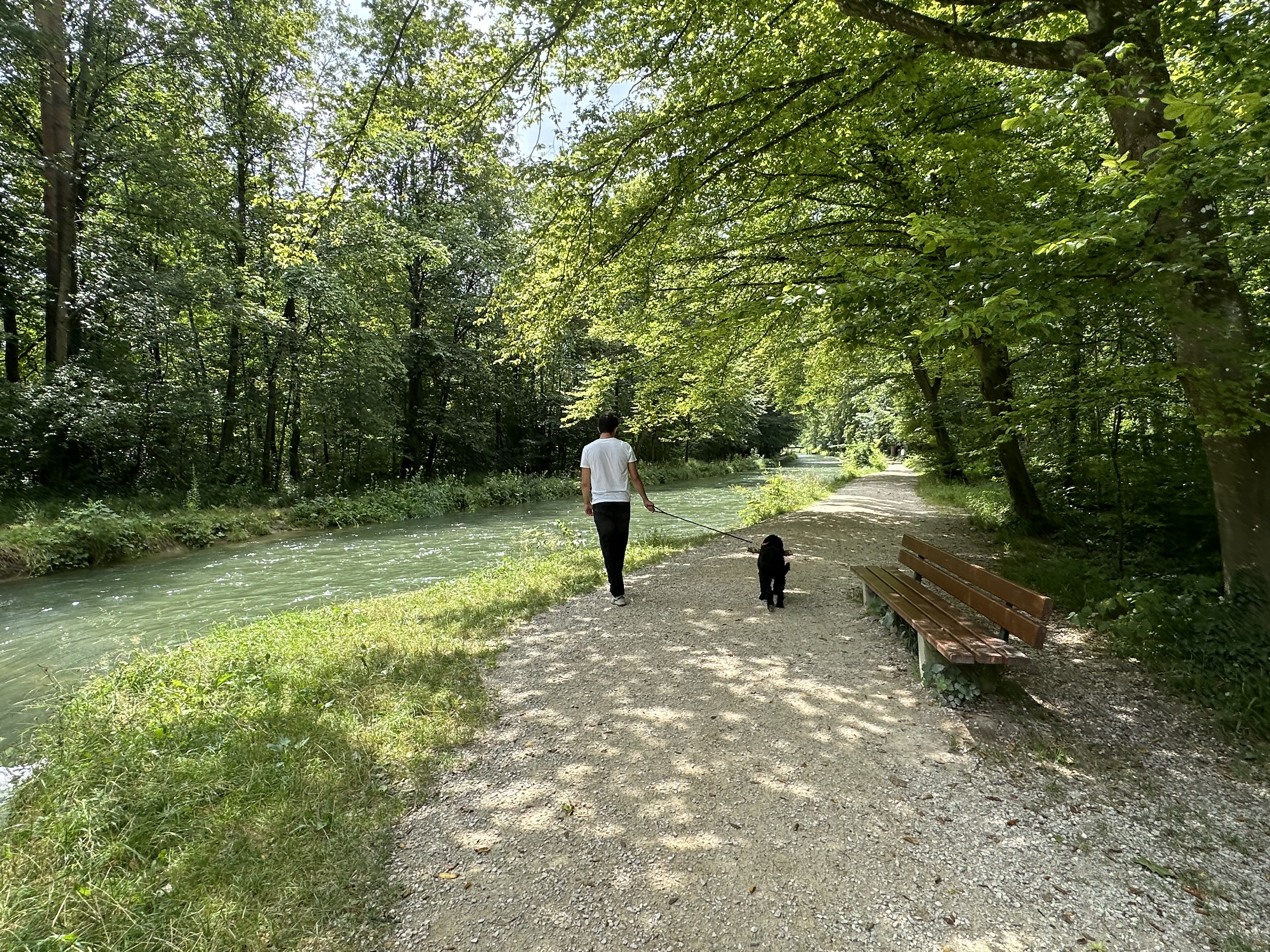 Walking a dog along a forest canal path