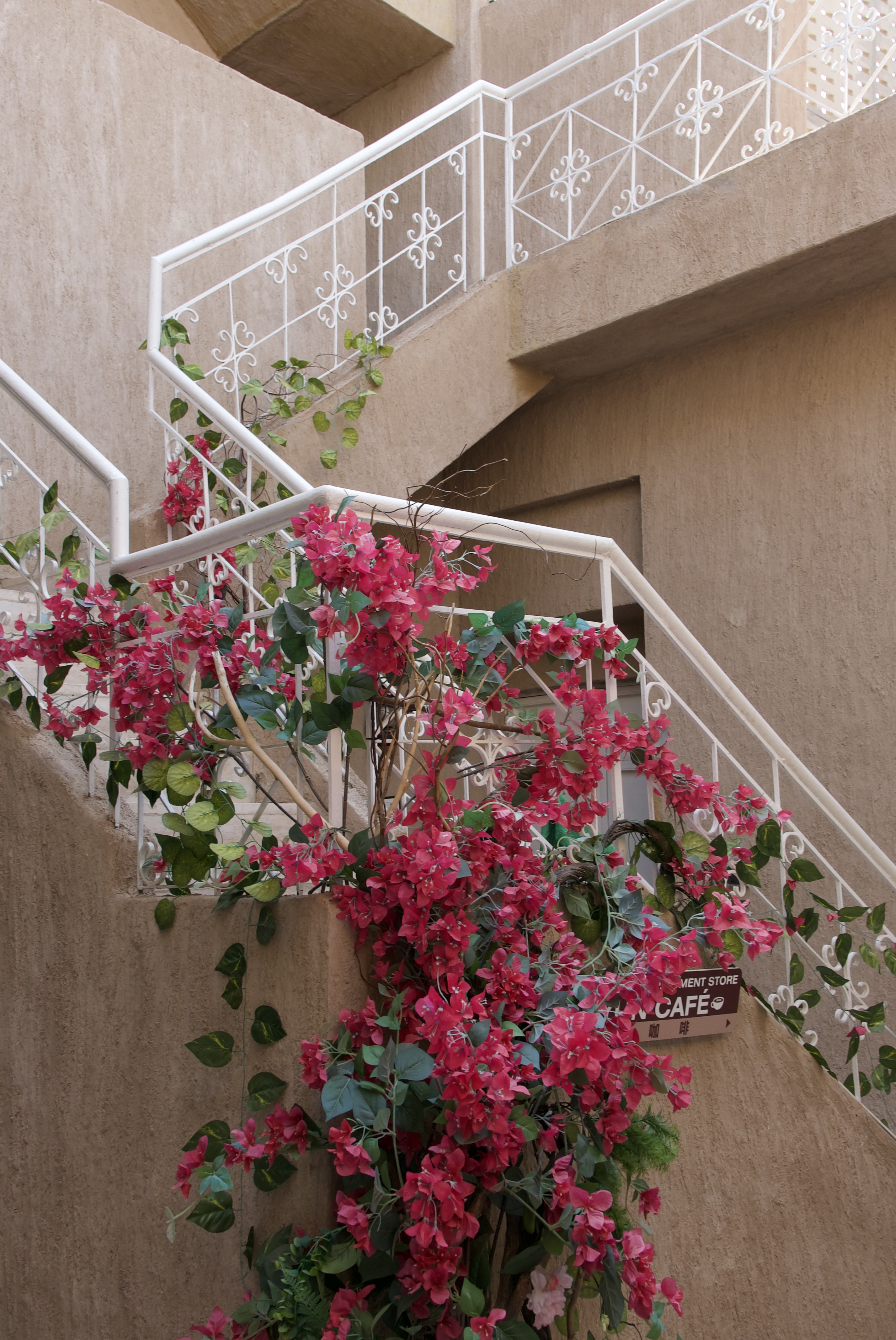 Bougainvillea flowers climbing a staircase railing