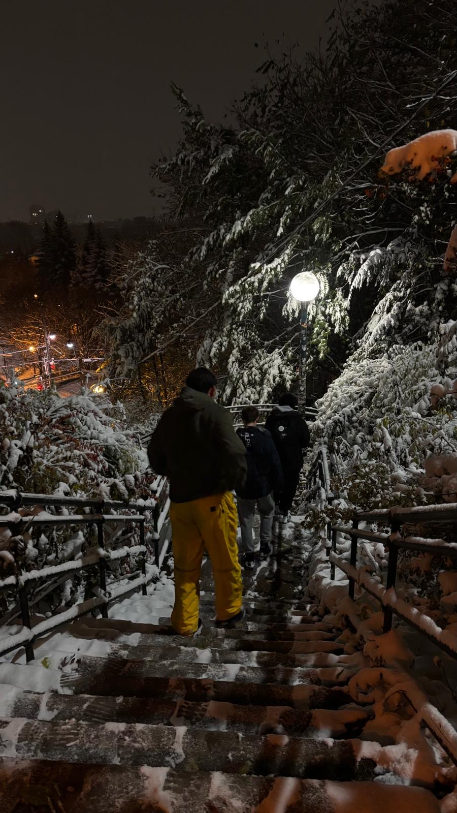 Descending snowy steps at night